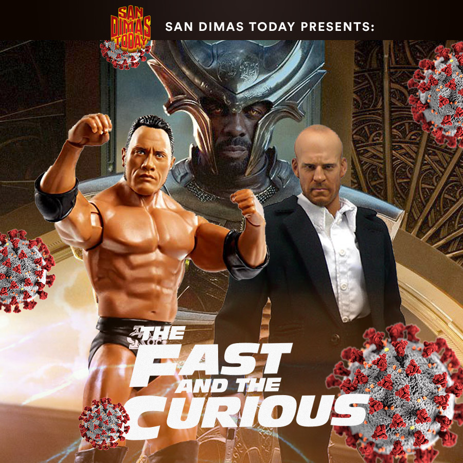 The Fast and The Curious: Two Roads Diverged in a Yellow Wood